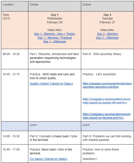 program