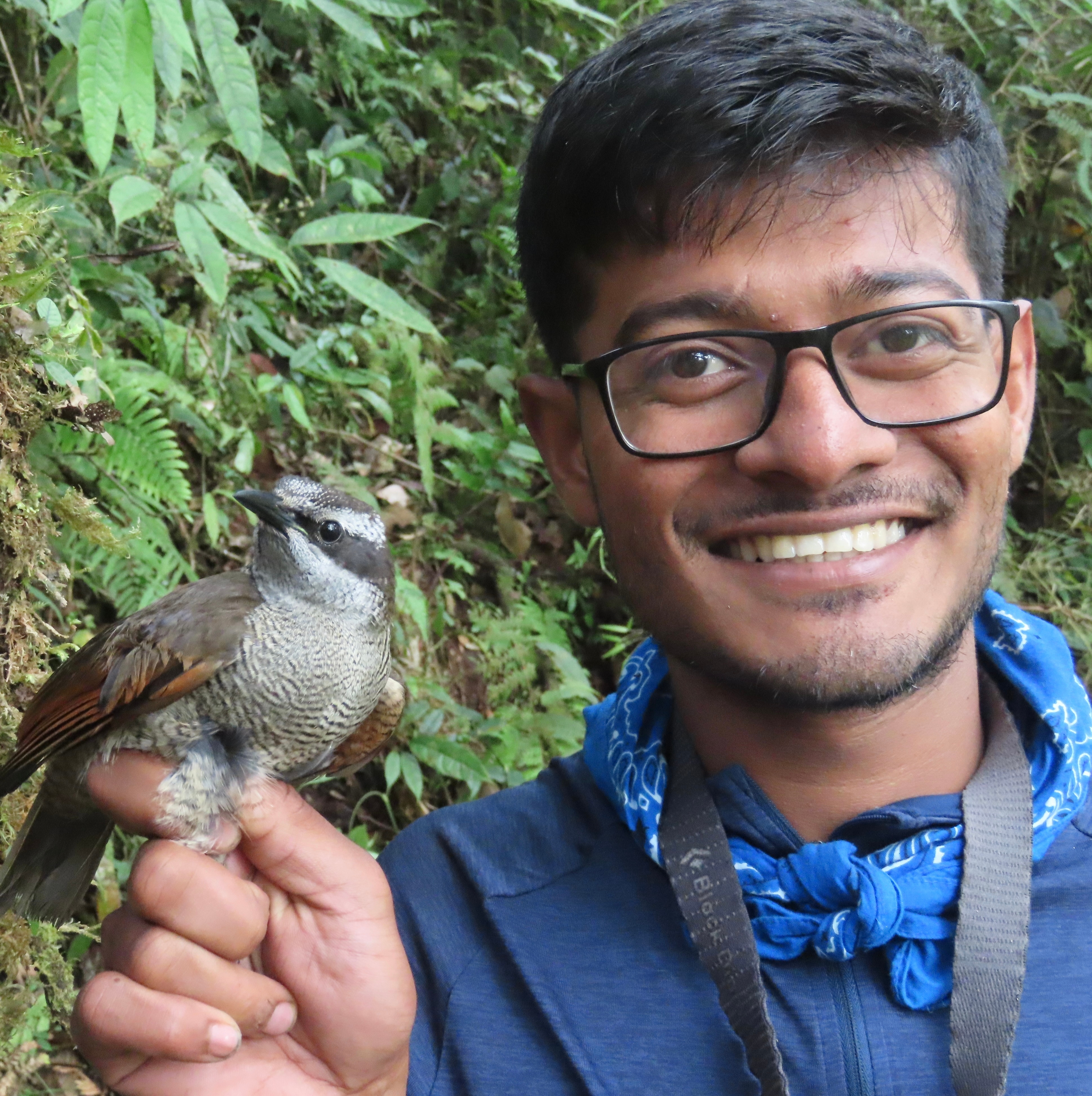 Kasun H. Bodawatta